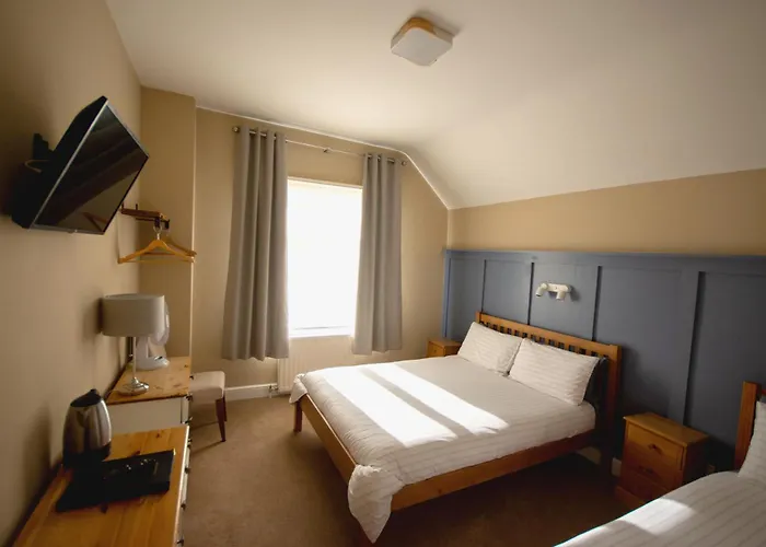 Salamander Guest House